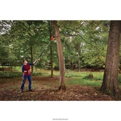 BLACK+DECKER FP0H3998 Amp 10 in. 2-In-1 Electric Pole Chainsaw Outdoor