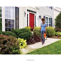 BLACK+DECKER FP0H42920V Max Cordless Sweeper Outdoor