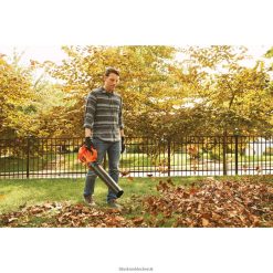 BLACK+DECKER FP0H43020V MAX Leaf Blower Axial 2.0-Ah Outdoor