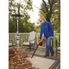 BLACK+DECKER FP0H43940V MAX Leaf Blower/Leaf Vacuum Kit Cordless Outdoor