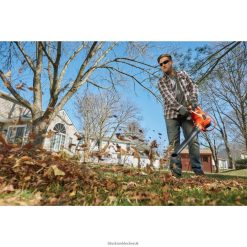 BLACK+DECKER FP0H4423-In-1 Electric Leaf Blower Leaf Vacuum Mulcher Outdoor