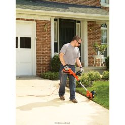 BLACK+DECKER FP0H491String Trimmer 6.5-Amp 14-Inch Outdoor